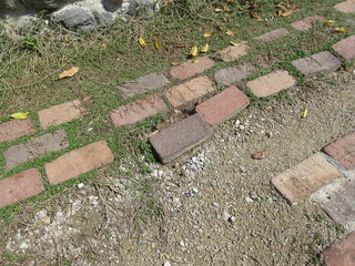 IMG_4135.JPG