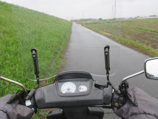 IMG_4254.JPG