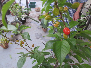 IMG_4635.JPG