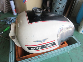 IMG_4887.JPG