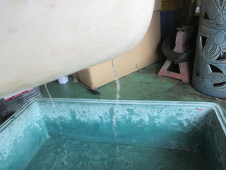 IMG_4927.JPG