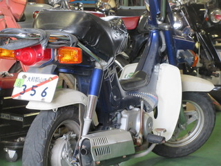 IMG_5416.JPG