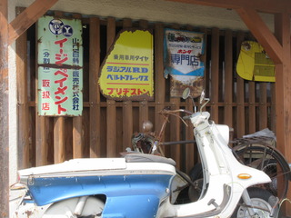 IMG_5503.JPG