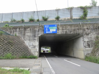 IMG_5691.JPG