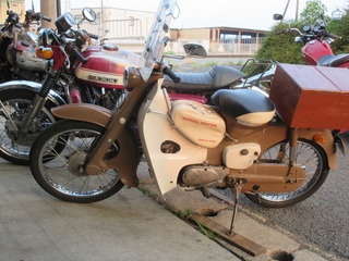 IMG_7863.JPG