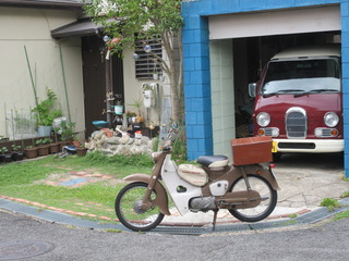 IMG_7864.JPG