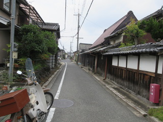 IMG_7866.JPG