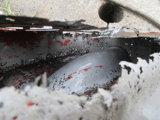 IMG_8128.JPG