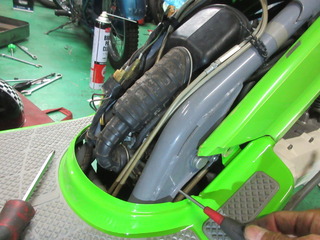 IMG_8433.JPG